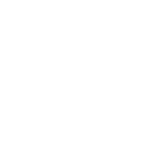 Google play store icon